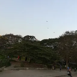 Sadashivanagara Park