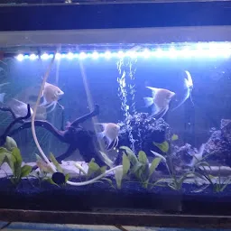 Sagar aquarium