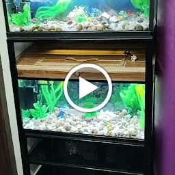 Sagar's Aquarium and Pets