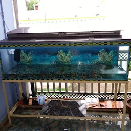 Sagardeep Fish Aquarium