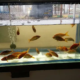 Sagardeep Fish Aquarium