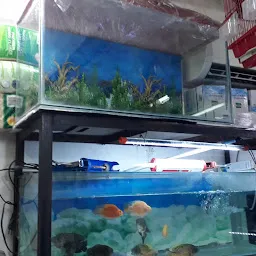 Sai Aquarium & Pet Shop