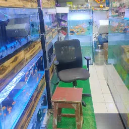 Sai Fish World