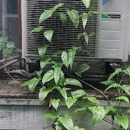 SAI HOSTEL, Nungambakkam, Gents only