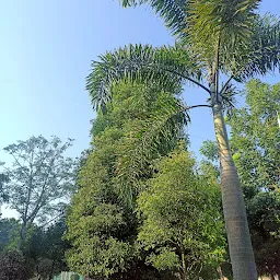 Sai Krushna Park