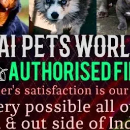 Sai Pet World