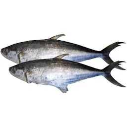 SAI-TAJ | Prawns Fish, pork products,fresh fish supplier in India,ready to eat upma in nagpur.