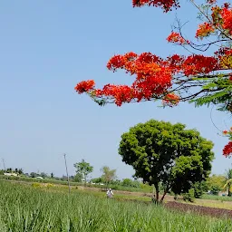 SaiDarshan Farm