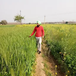 Saini Farms, Khawaspura