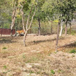 Sajjangarh Wildlife Sanctuary