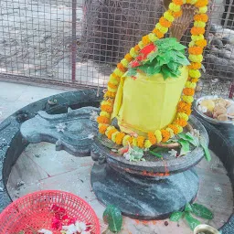 SAMAY MATA MANDIR