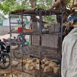sambaiah chicken and mutton centre