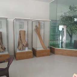 Sandal Museum, ಶ್ರೀಗಂಧ ಸಂಗ್ರಹಾಲಯ