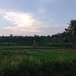 Sangamam