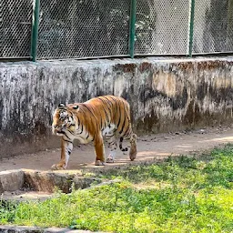 Sanjay Gandhi Biological Park, Patna