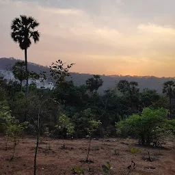 Sanjay Gandhi national park yeor