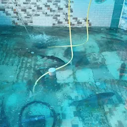 SANSAR LIVE FISH CENTER