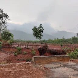 Sanskriti farms- vedurwada