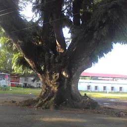 Santacruz Grounds