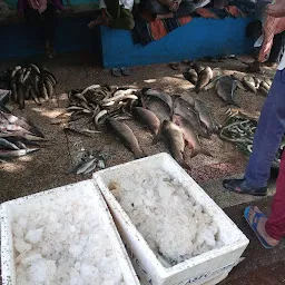 Santosh Batham Fish Fry Center