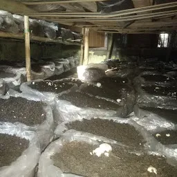 SARAA MUSHROOM FARM