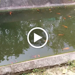 Saranath Fish Canal