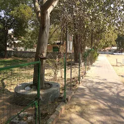 Saraswati Nagar Garden