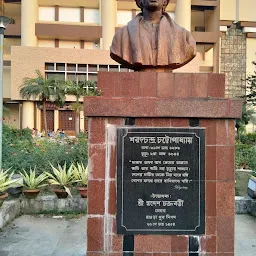 Sarat Chandra statue