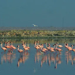 Sardar Samand Lake