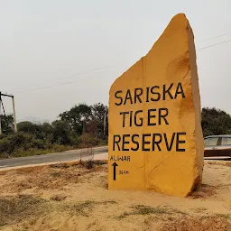 Sariska Tiger Safari