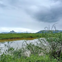 Sathumadurai Lake