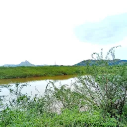 Sathumadurai Lake
