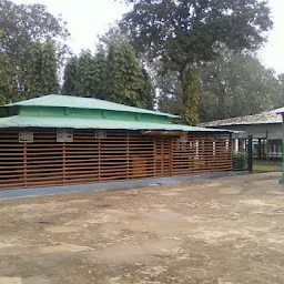 Satsang Tree House
