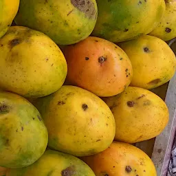 Satyam Fruit