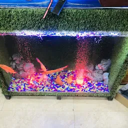 Saurabh fish aquarium and pet shop