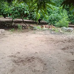 Savadamuthu Garden