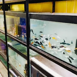 Savanth Aquarium