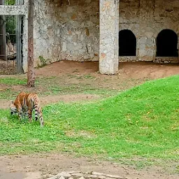 Sayaji Baug Zoo