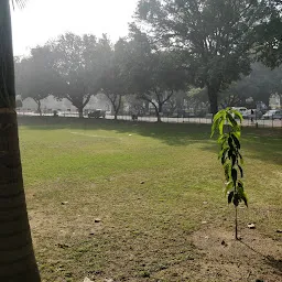 SBI lawn