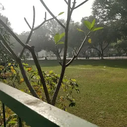 SBI lawn