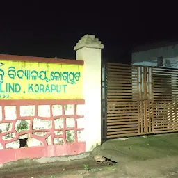 School for the Blind, Koraput
