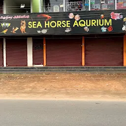 Sea horse aquarium