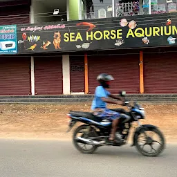 Sea horse aquarium