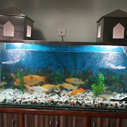 Sea Land Fish Aquarium