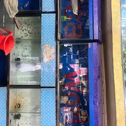Sea World Aquarium Pet Shopee (bhosari)