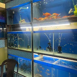 Sea World Aquarium Pet Shopee (bhosari)