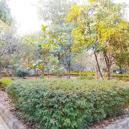 Sector 7 Park