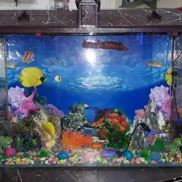 Sehdev Fish Aquarium