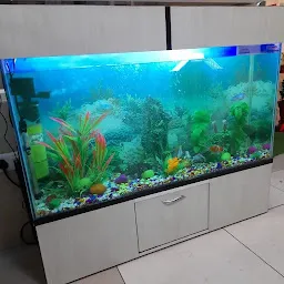 Sehdev Fish Aquarium
