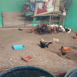 SEK CHICKEN CENTRE